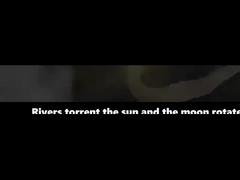 فيديو الشركة